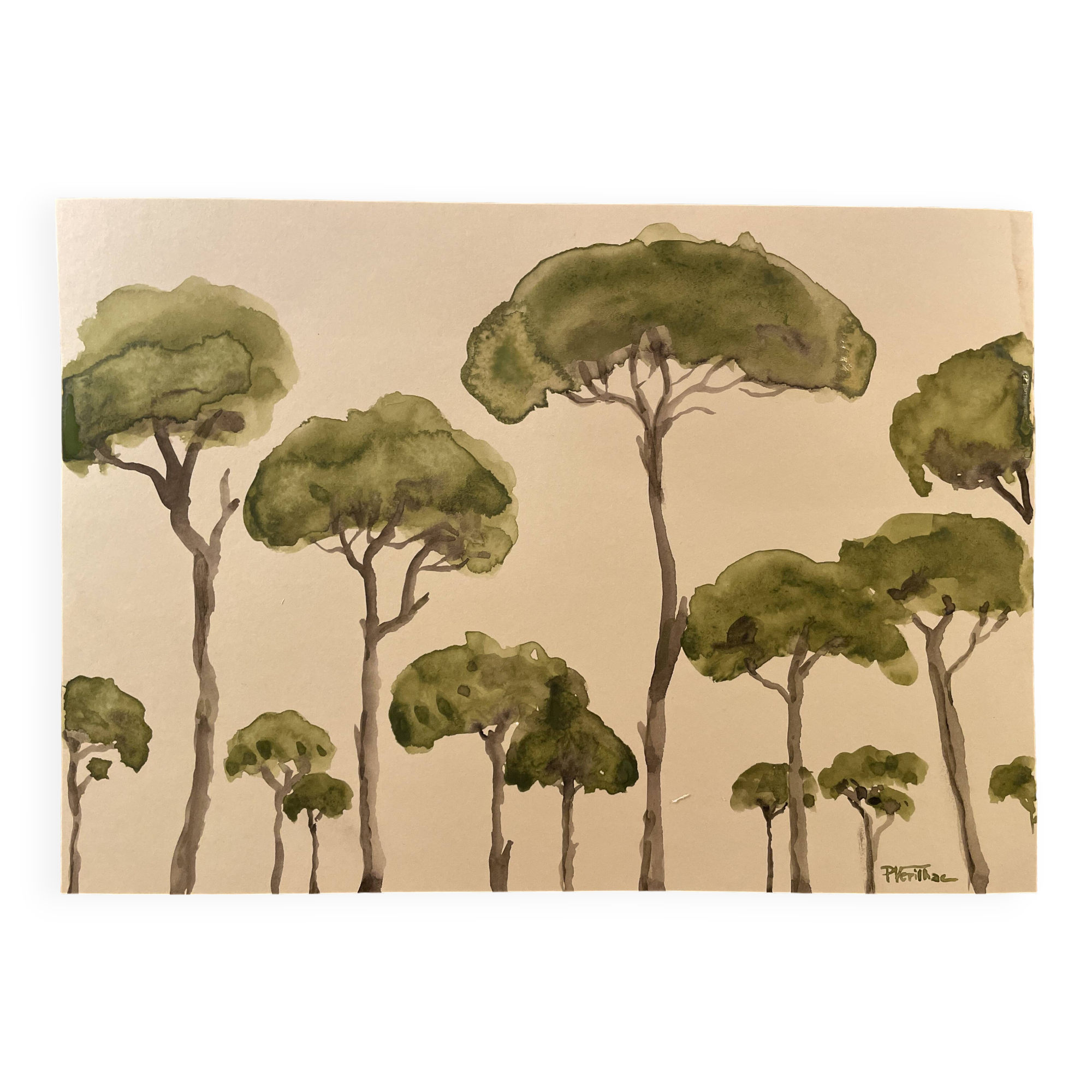 Tableau signé aquarelle « pinède du Lubéron »
