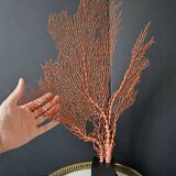 Gorgone Rouge XXL Wooden Base. H: 47 cm | Decorative Object l PlaceOdd