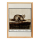 Small poster about the cat, after an old engraving from 1610.