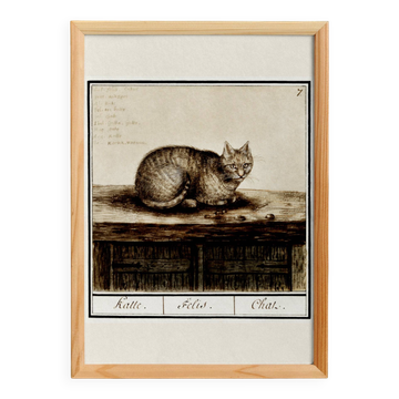 Small poster about the cat, based on an old engraving from 1610.