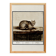 Small poster about the cat, after an old engraving from 1610.