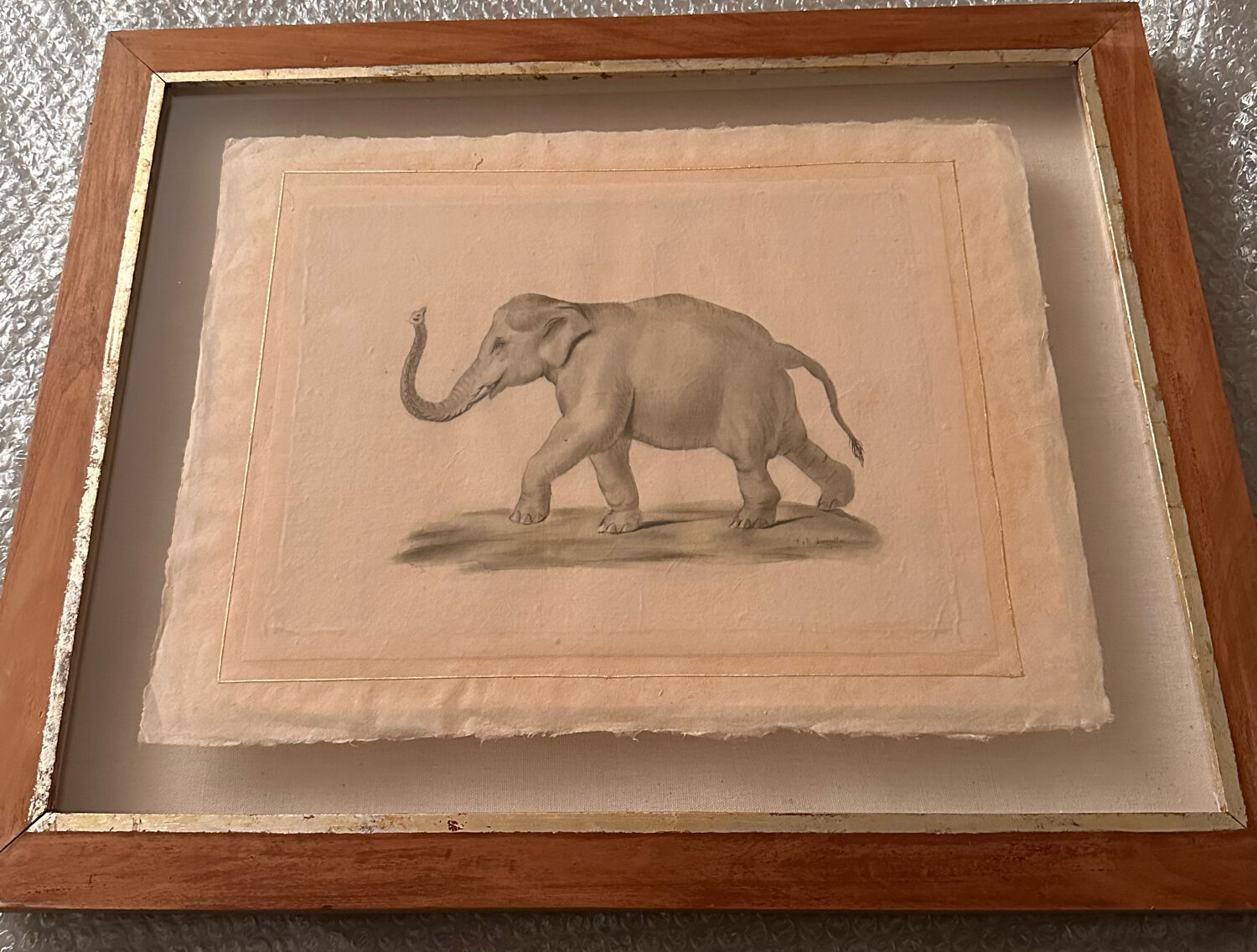 Drawing elephant framed in wooden frame