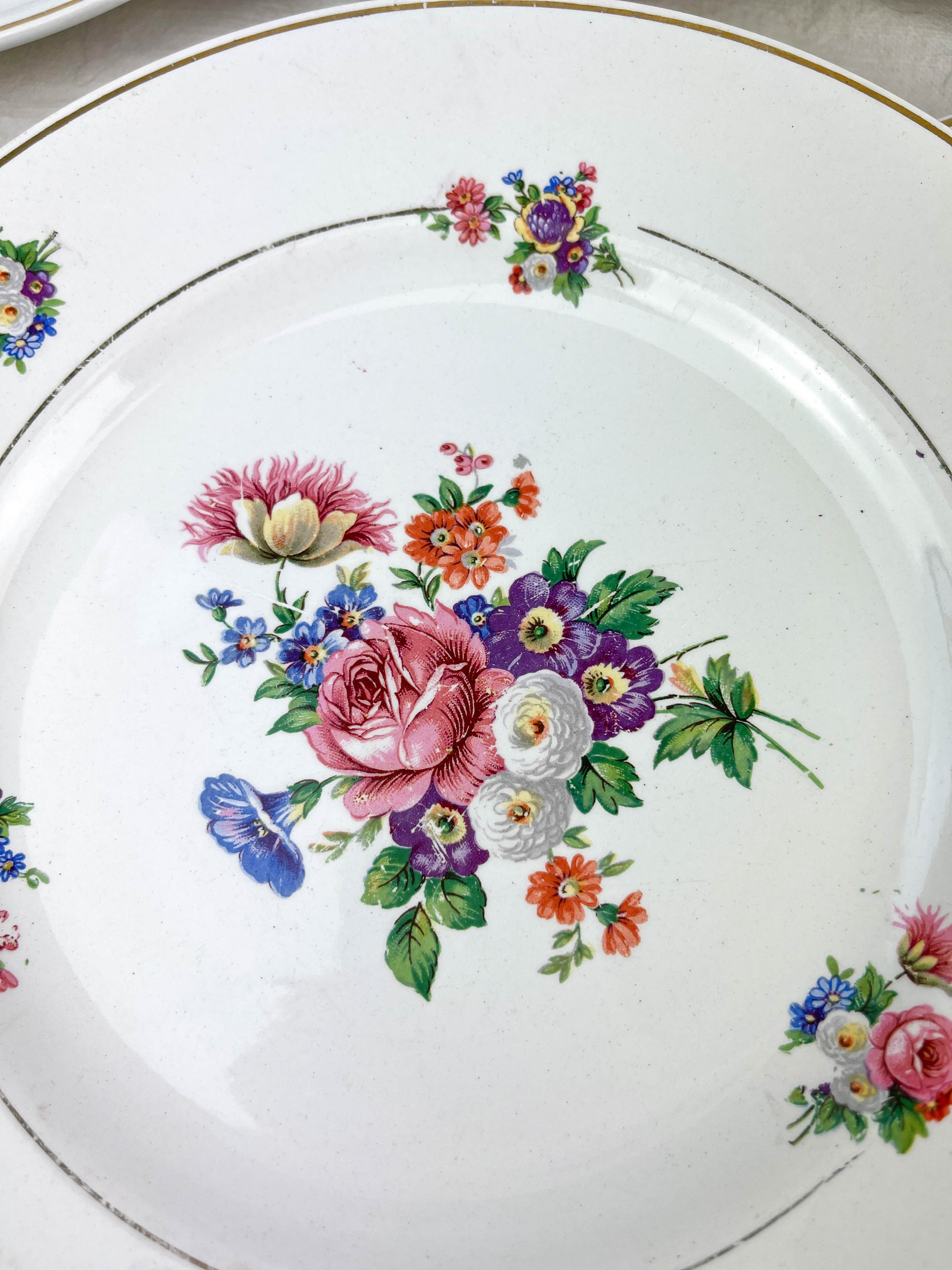 6 assiettes terre de fer salins modèle "anny" motif fleuris