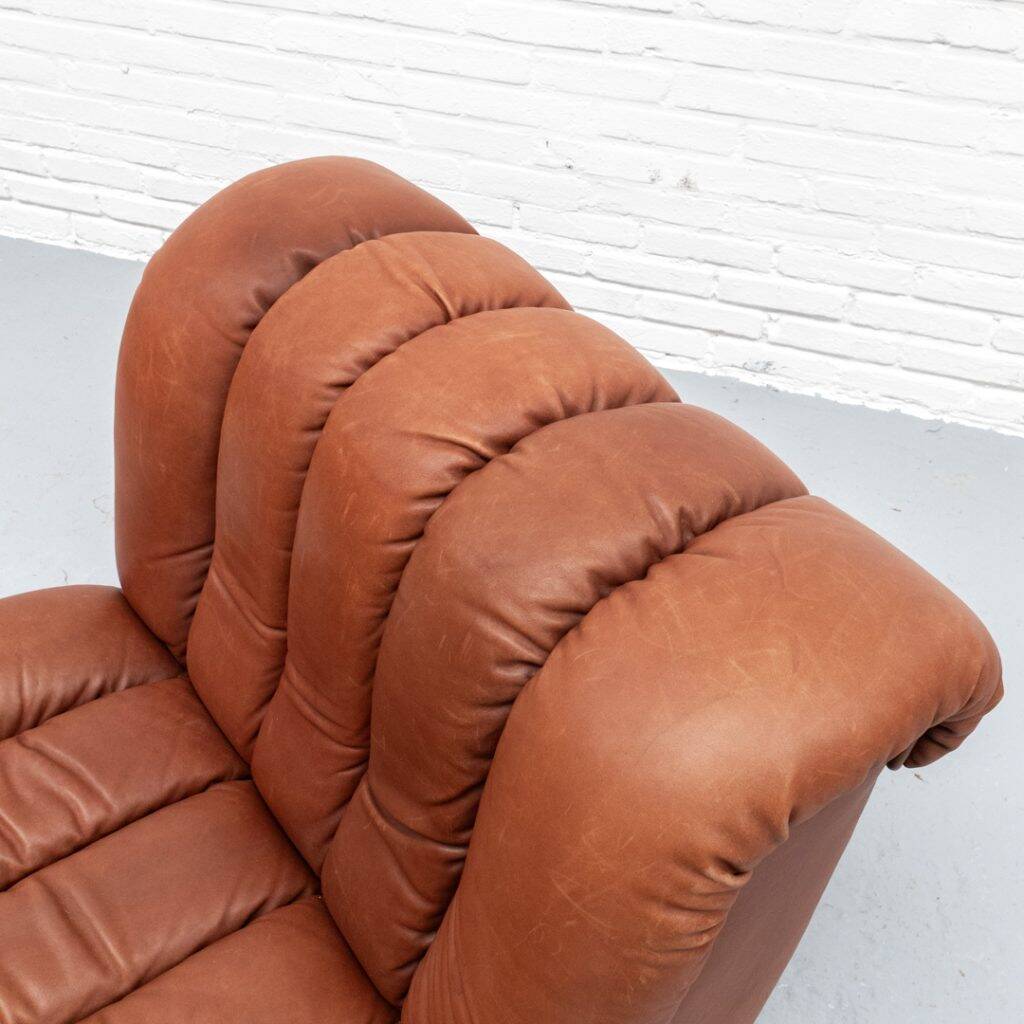 Fauteuil De Sede DS-85