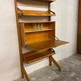 Mid-Century Wall Cabinet bookcase secretary by Cees Braakman for Pastoe