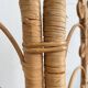 Vintage Four-part Rattan Peacock Screen, Room Divider, 1950s