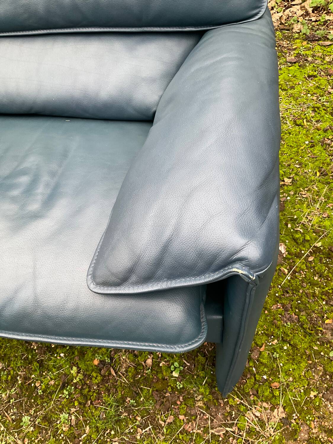 Fauteuil Bora Bora pour Leolux par Axel Enthoven