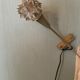 Set of 2 wall lamps type "glass" with switch on the cable via wall sockets