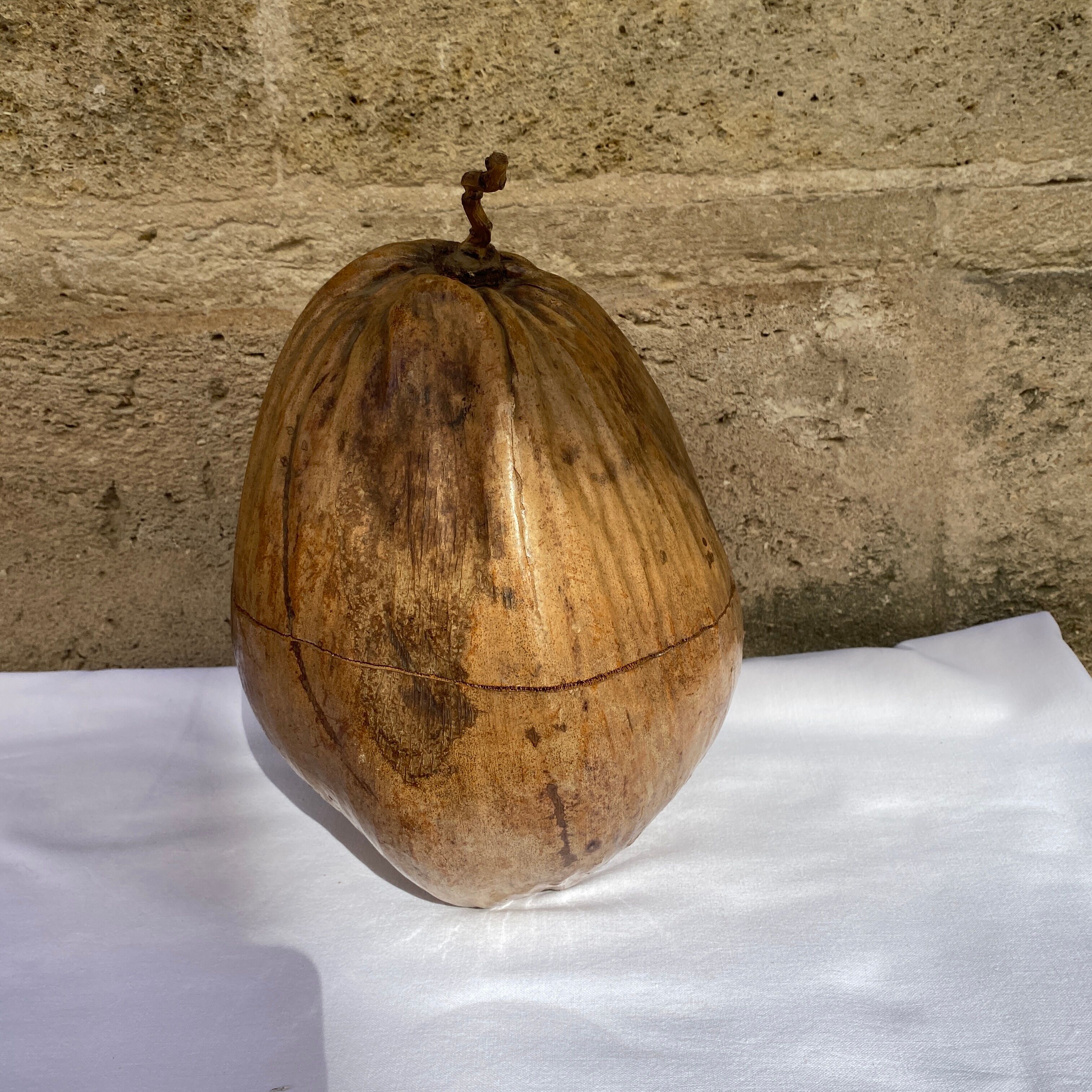 Coconut ice bucket