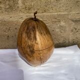 Coconut ice bucket
