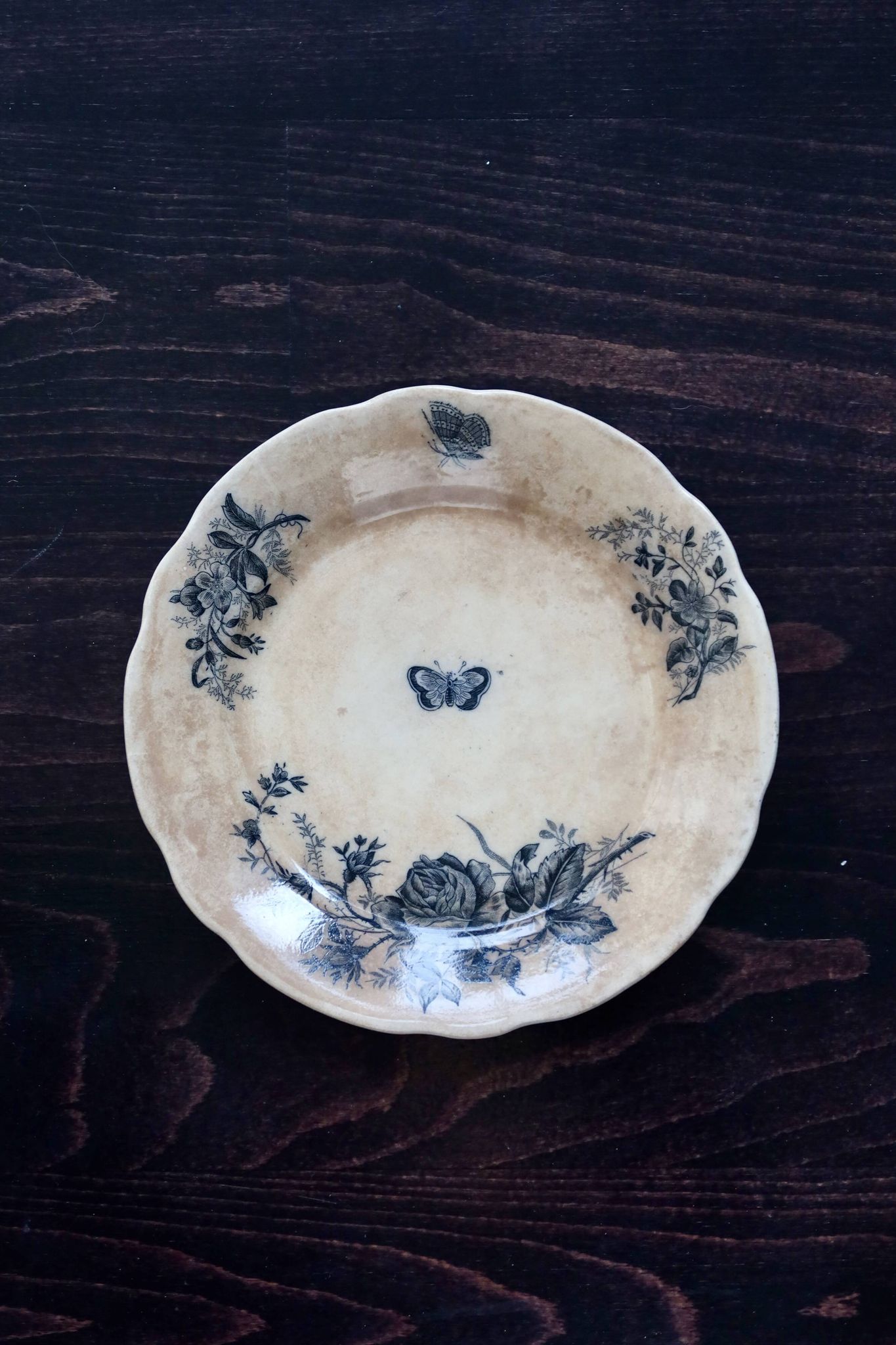 Antique flat plates, ironstone, Onnaing Nord - Floral and ribbon pattern.