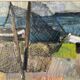 Peinture à l'huile vintage représentant une scène de village de pêcheurs, années 1950