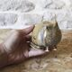Annie Maume ceramic cat
