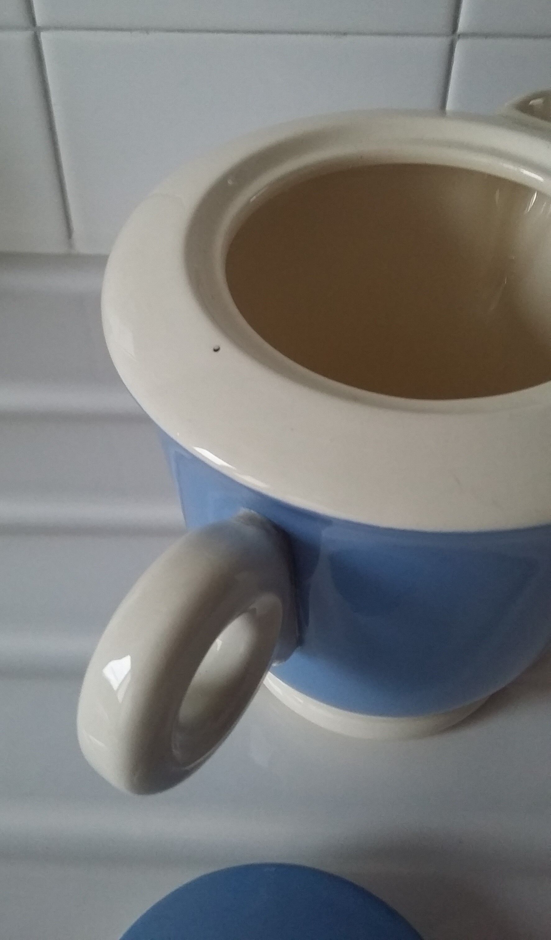 Digoin's earthenware coffee maker/teapot