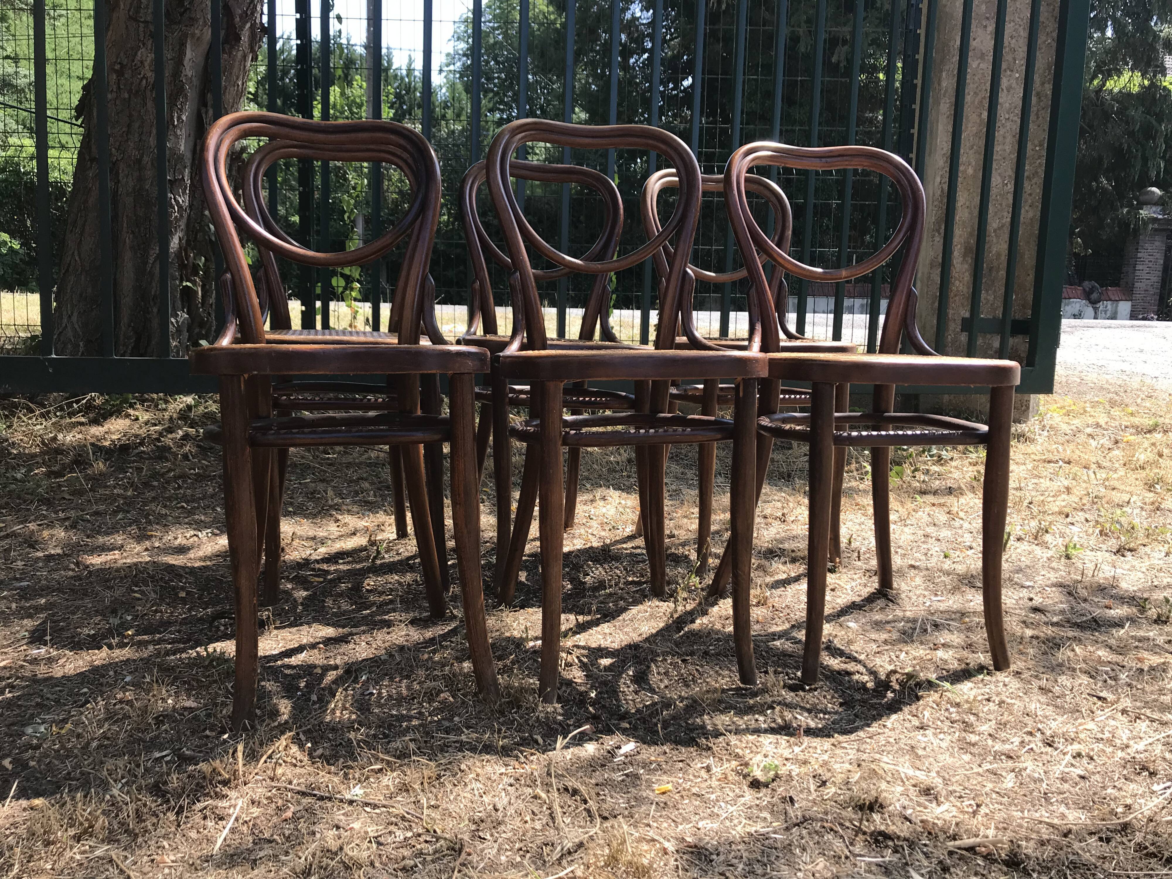 Suite de 6 chaises Joseph Hofman Thonet