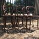 Suite de 6 chaises Joseph Hofman Thonet