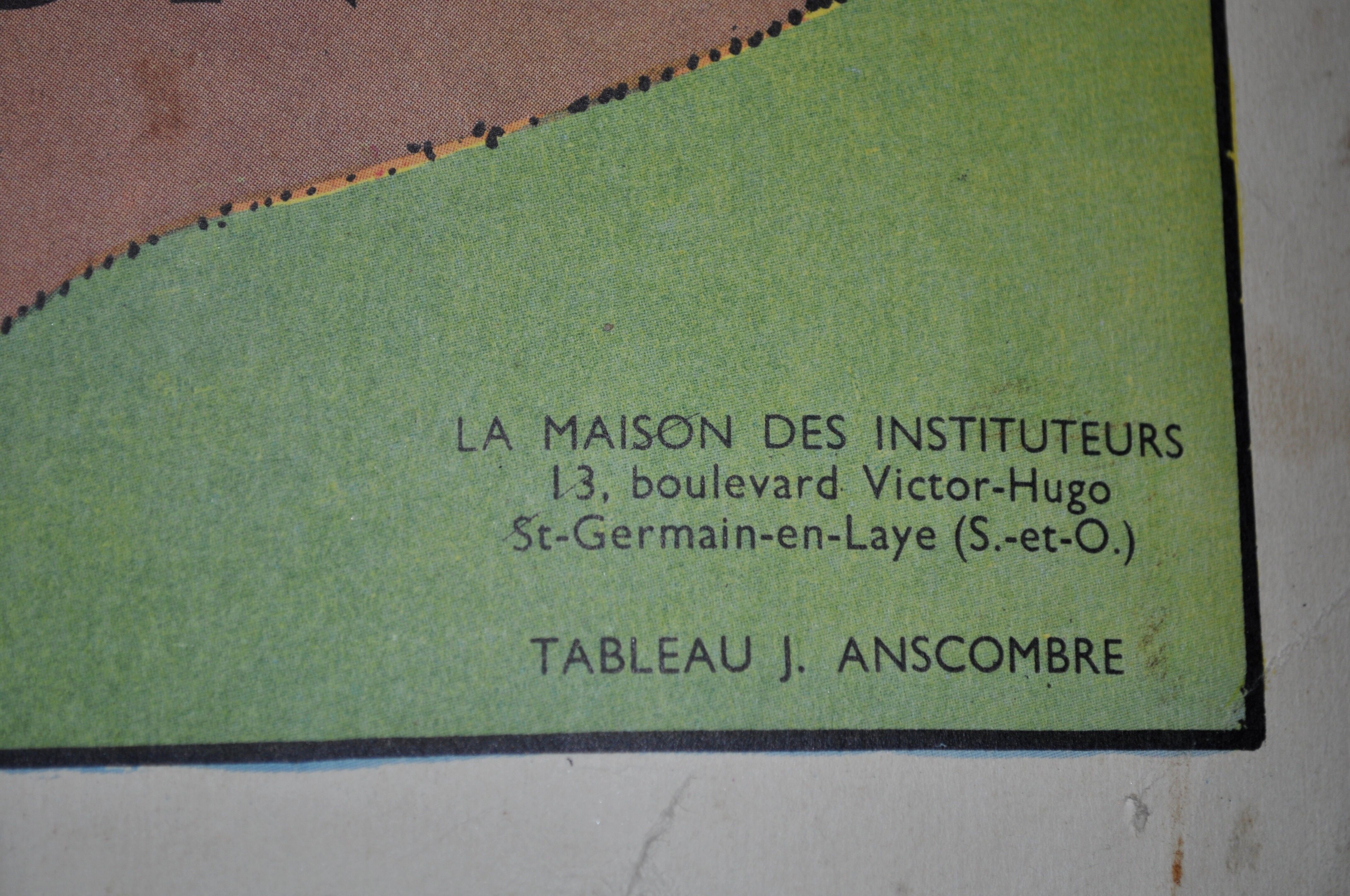 Educational poster of Anscombre/Lang Paris farm animals