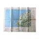 Carte Calvi 1981