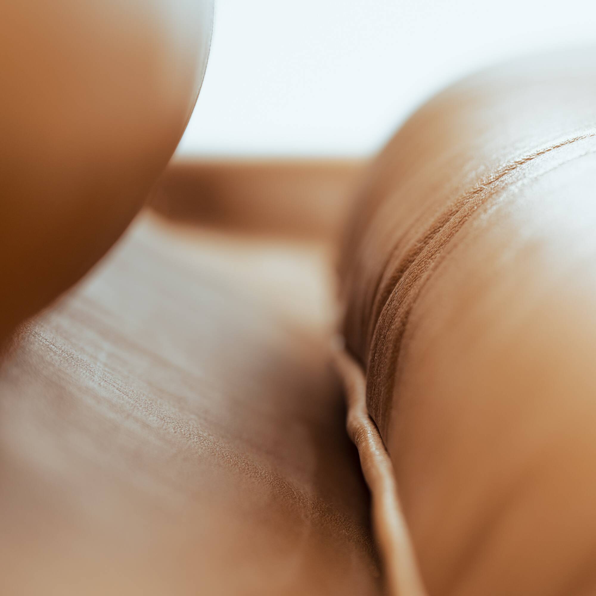 Armchair in Jacaranda Wood and Leather by Celina Decorações, Brazil, 1950s