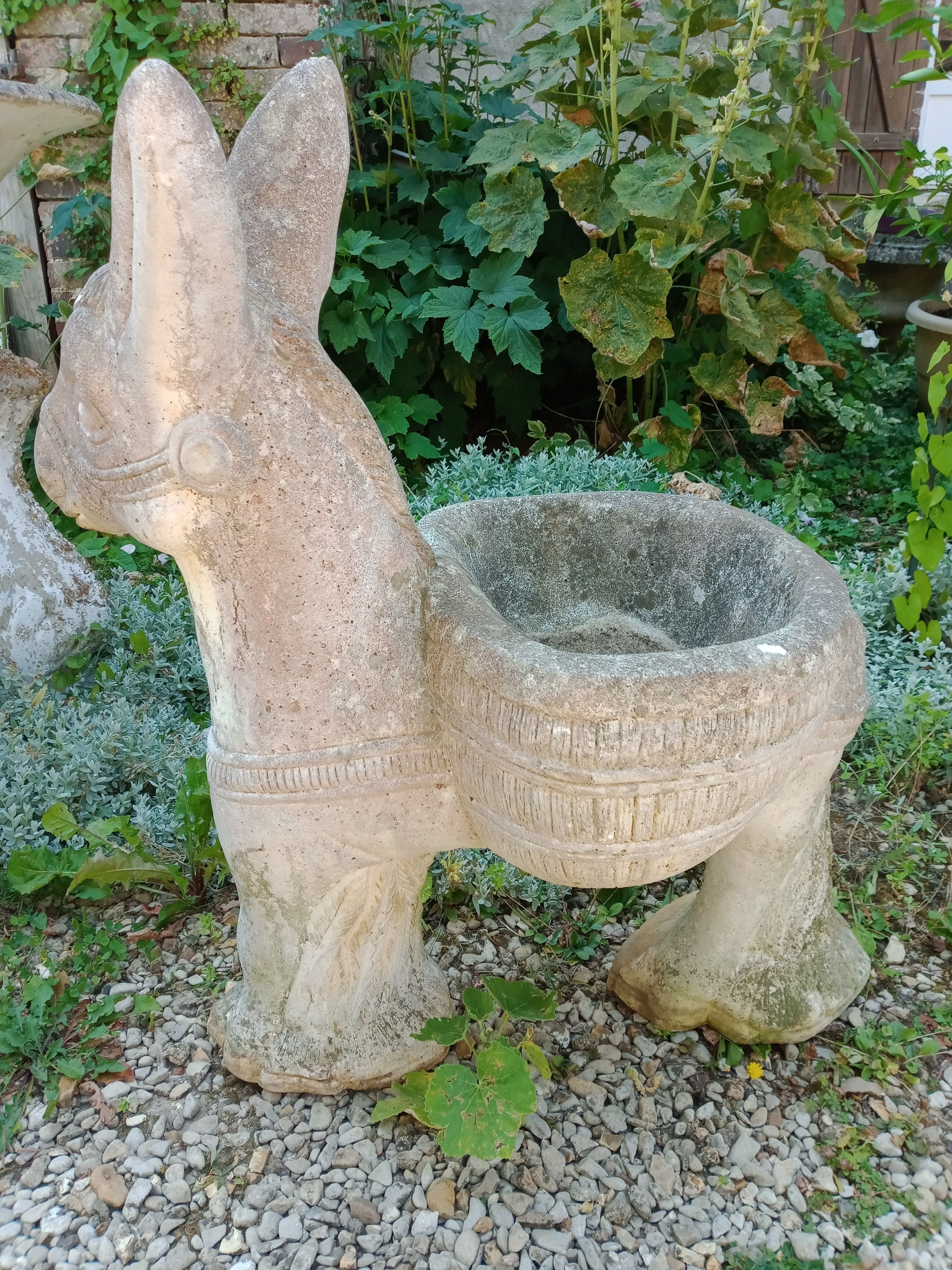 Cement donkey planter