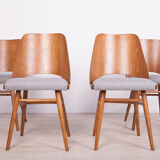 Model lollipop dining chairs from Tatra, 1960