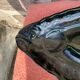 Fish tray