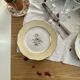 6 antique cream-coloured earthenware dinner plates with gold decoration and flowers.