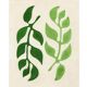 Original painting on paper -30x40cm - Leaf - M898 - signed Eawy