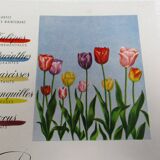 Old “Yalacta” and “Flowers of Holland” advertising from the 1950s