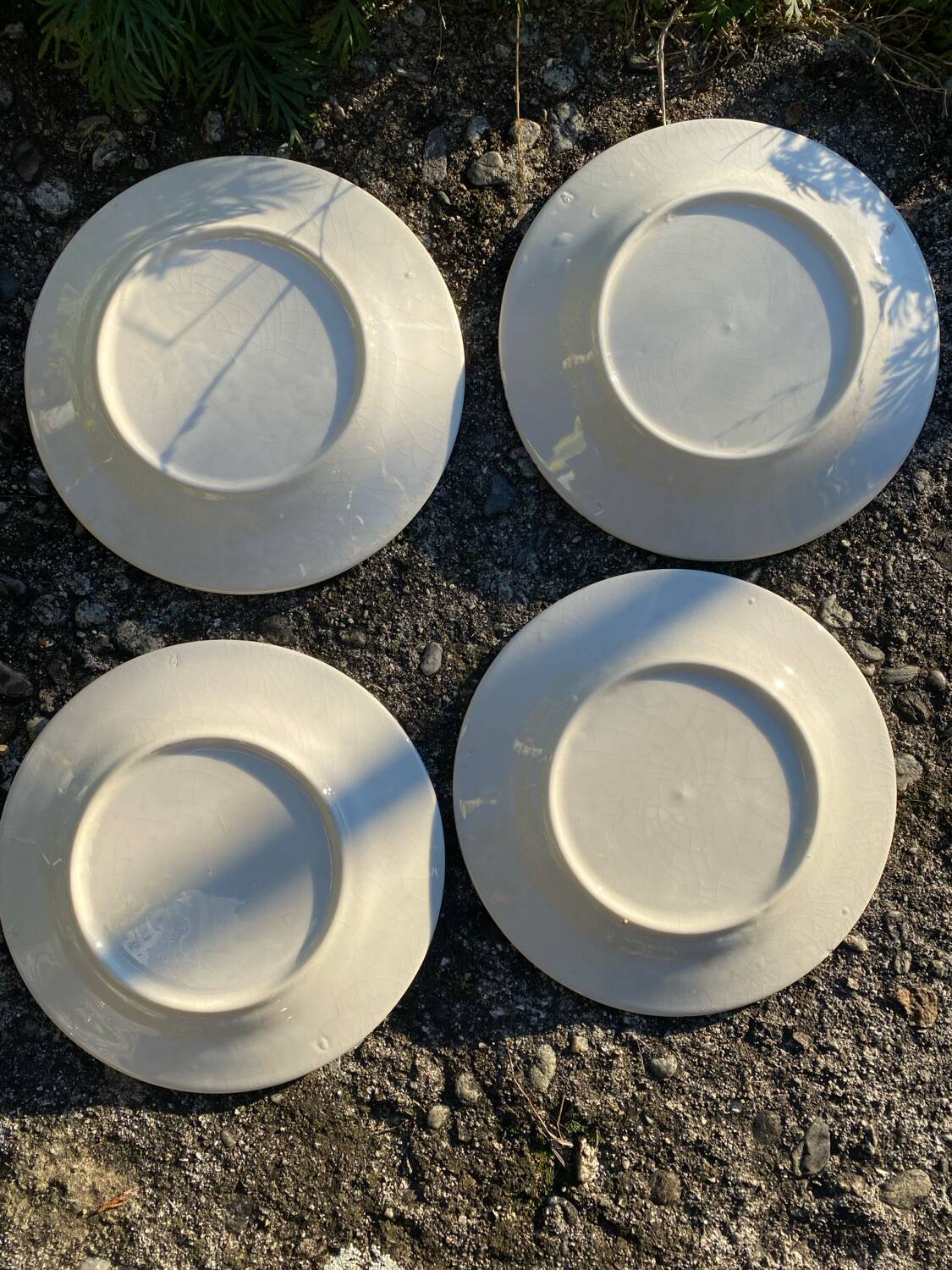 Assiettes vintage blanche et bleue