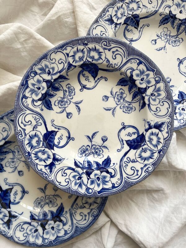 3 assiettes creuses en terre de fer Flora, Creil et Montereau fin XIXe