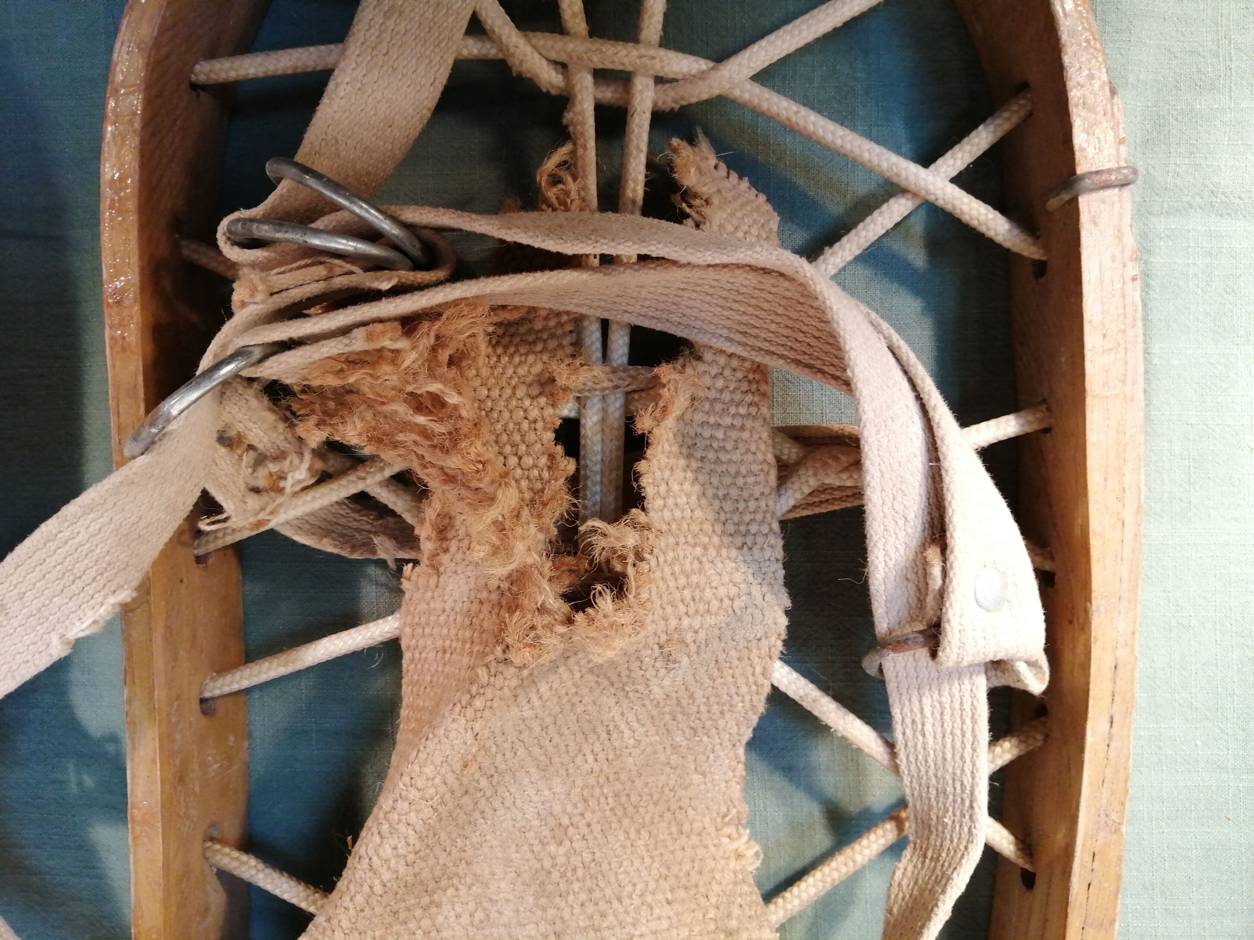 Winterna old snowshoe