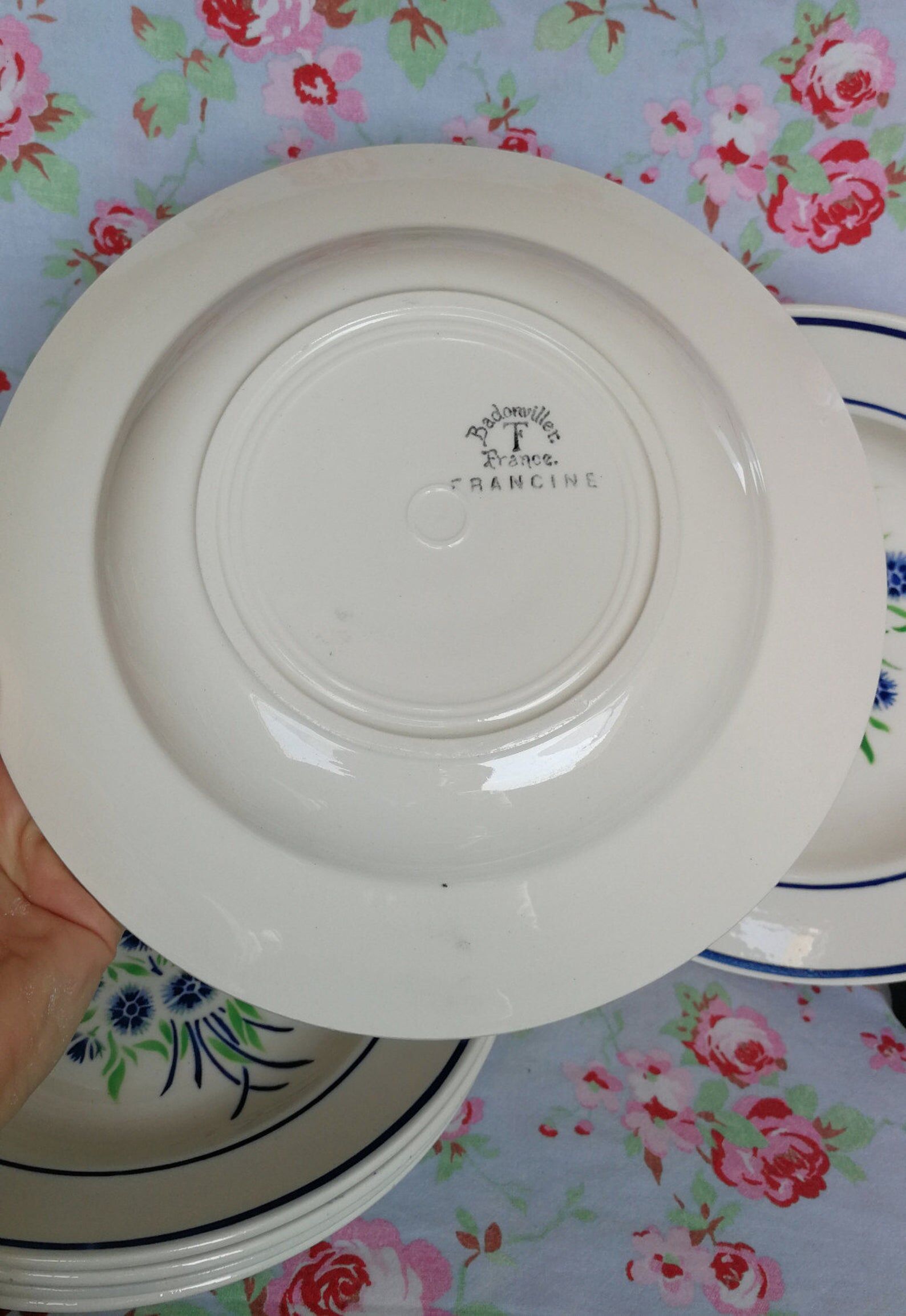 6 old Badonviller organic plates francine blue and green flowers in the stencil