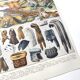 Lot deux Planches lithographies sur les fourrures animaux de la jungle 1900
