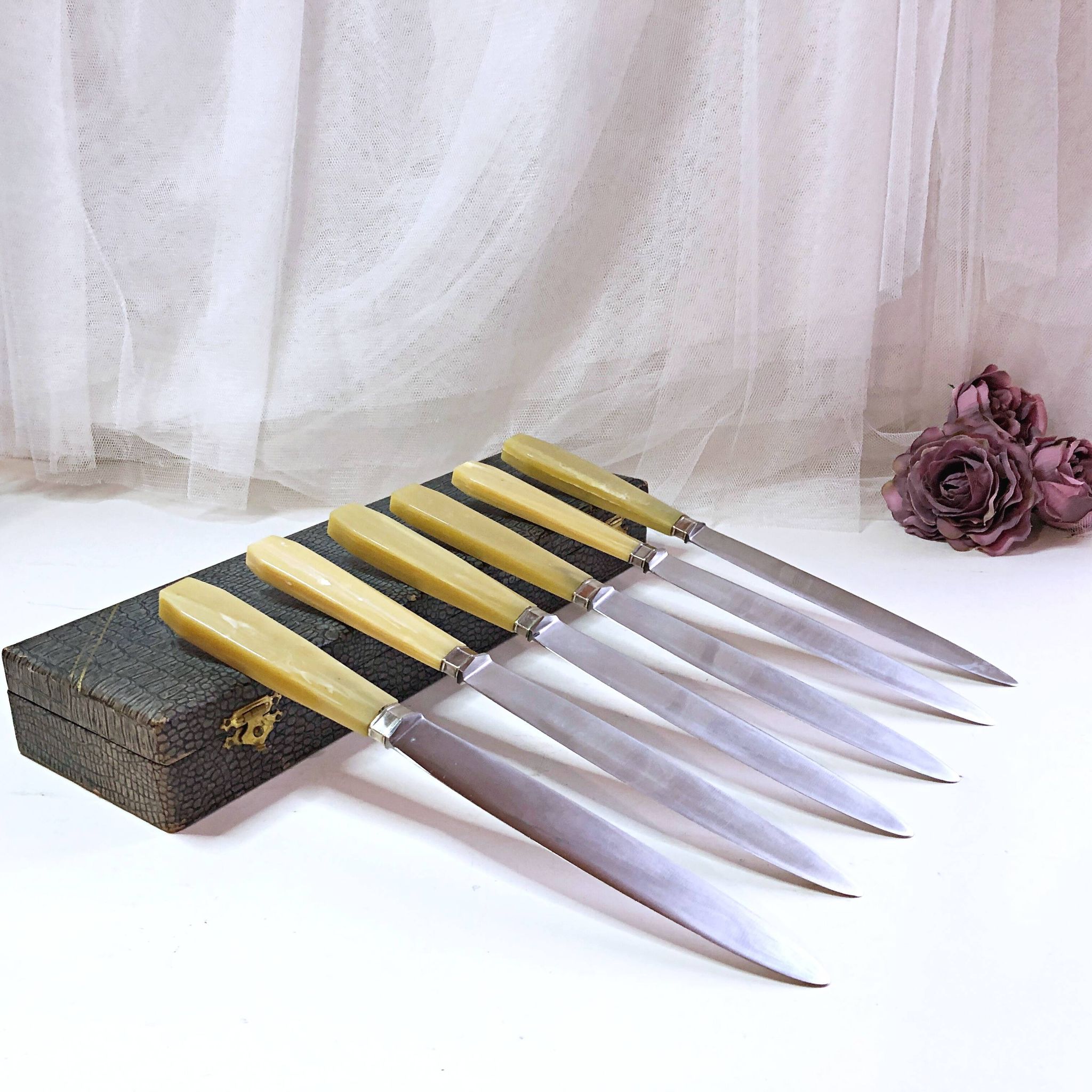 Coffret de 6 couteaux de table manche bakélite France début XXe