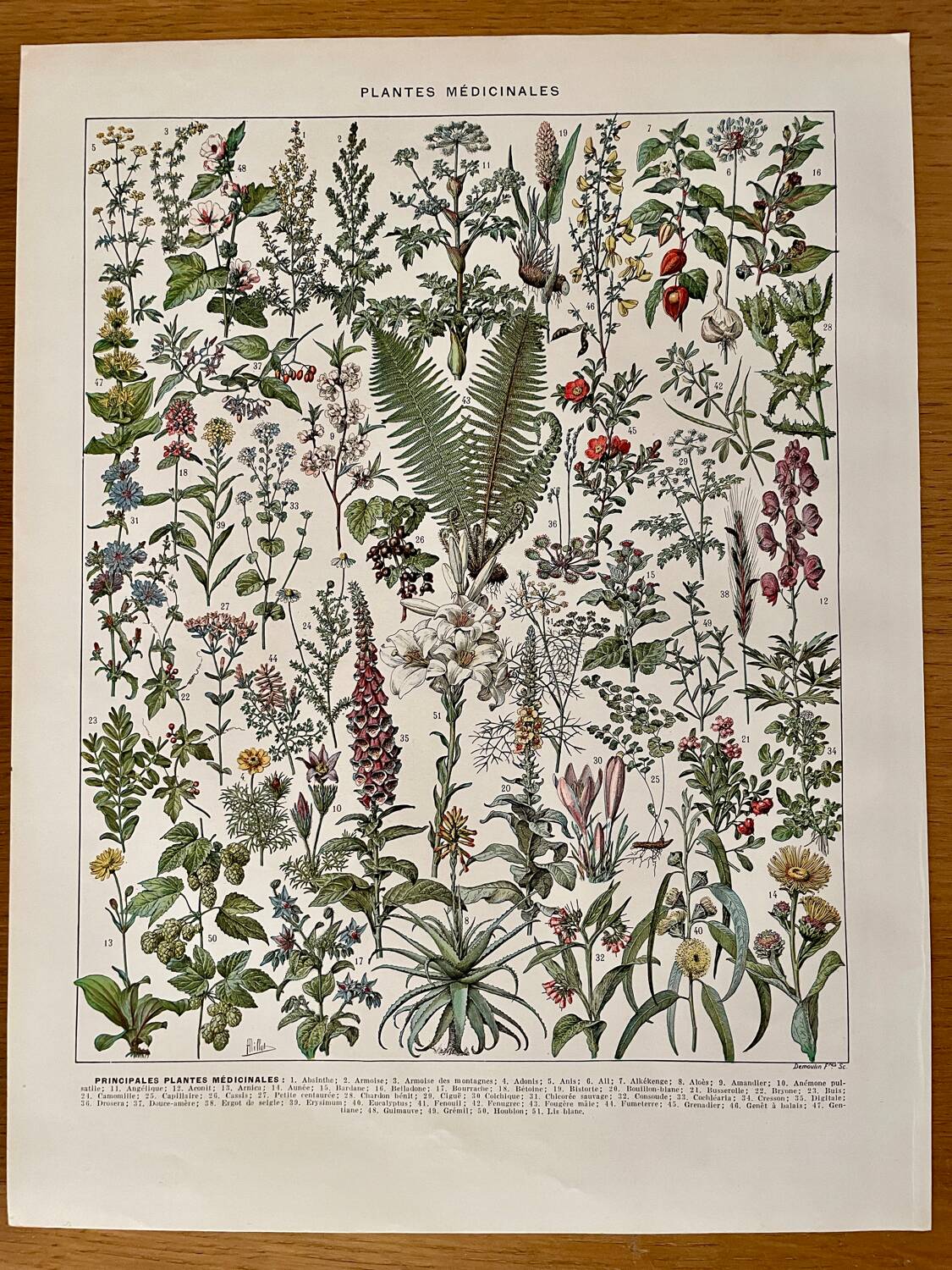 Reserved Chloé - Lot of 2 20th century lithos.