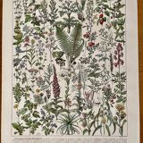 Reserved Chloé - Lot of 2 20th century lithos.