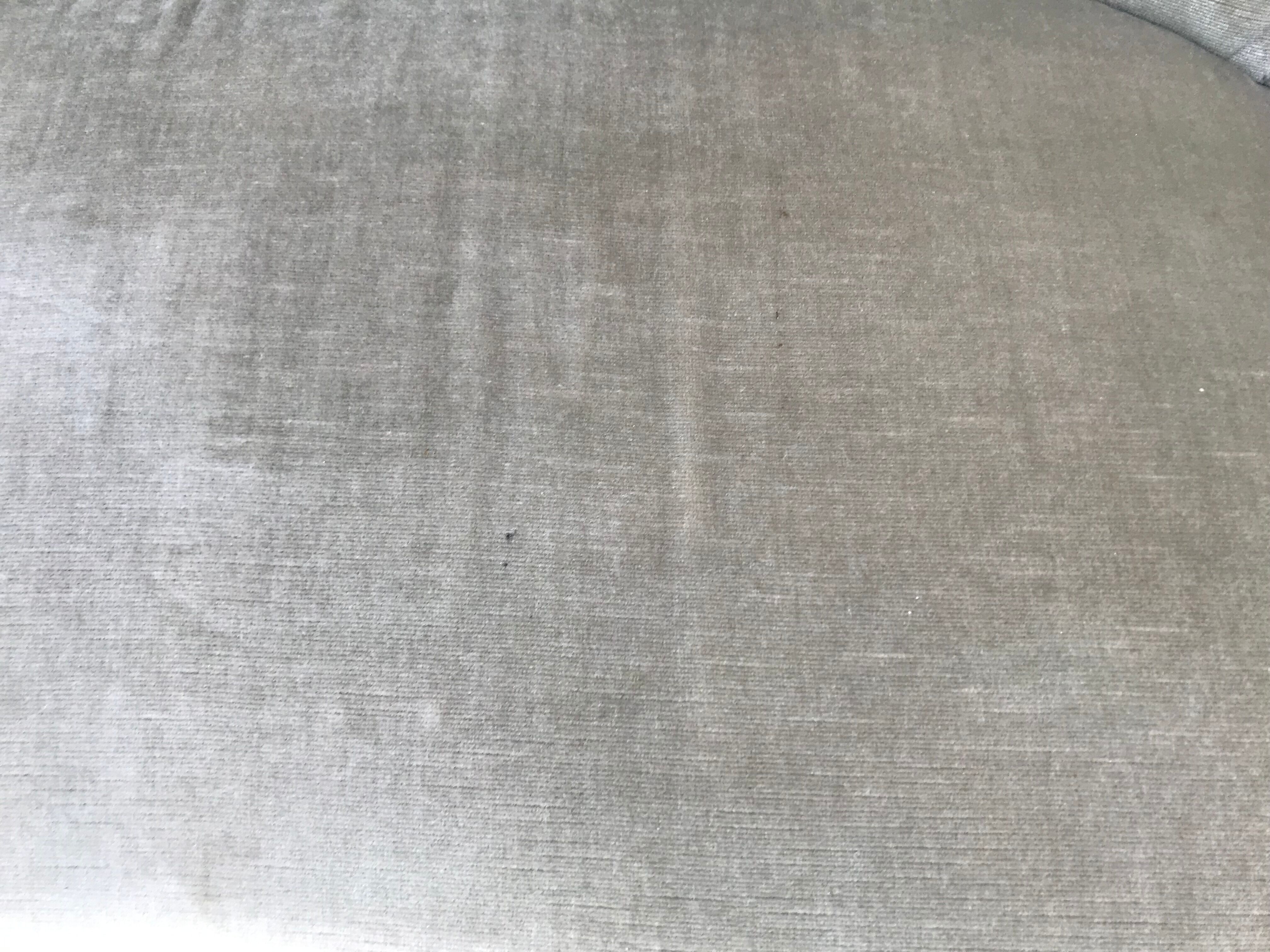 Napoleon III toad sofa