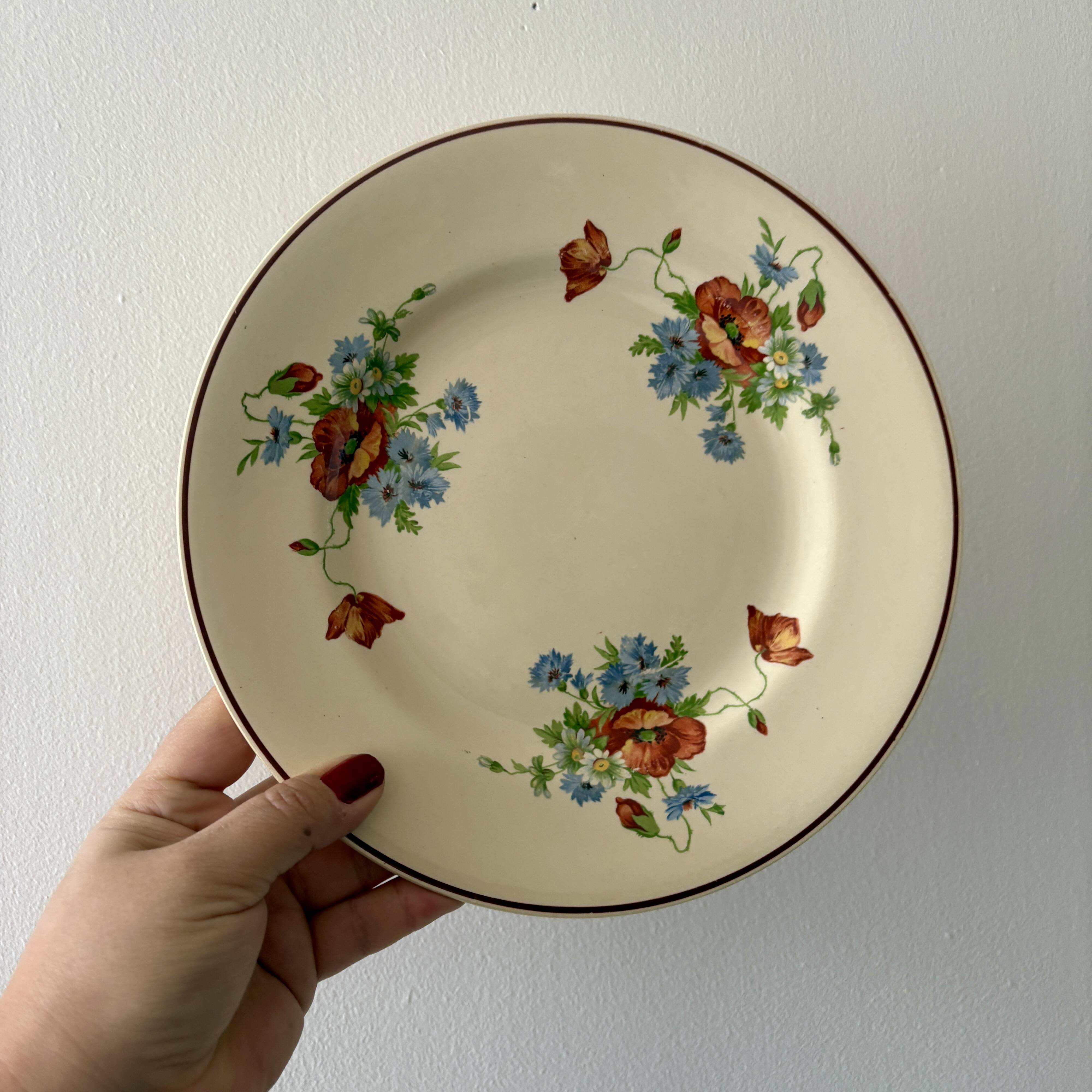 Set of 12 old flat plates with flower decorations - Salins