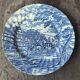 Set of 5 Myott Royal Maine dinner plates.