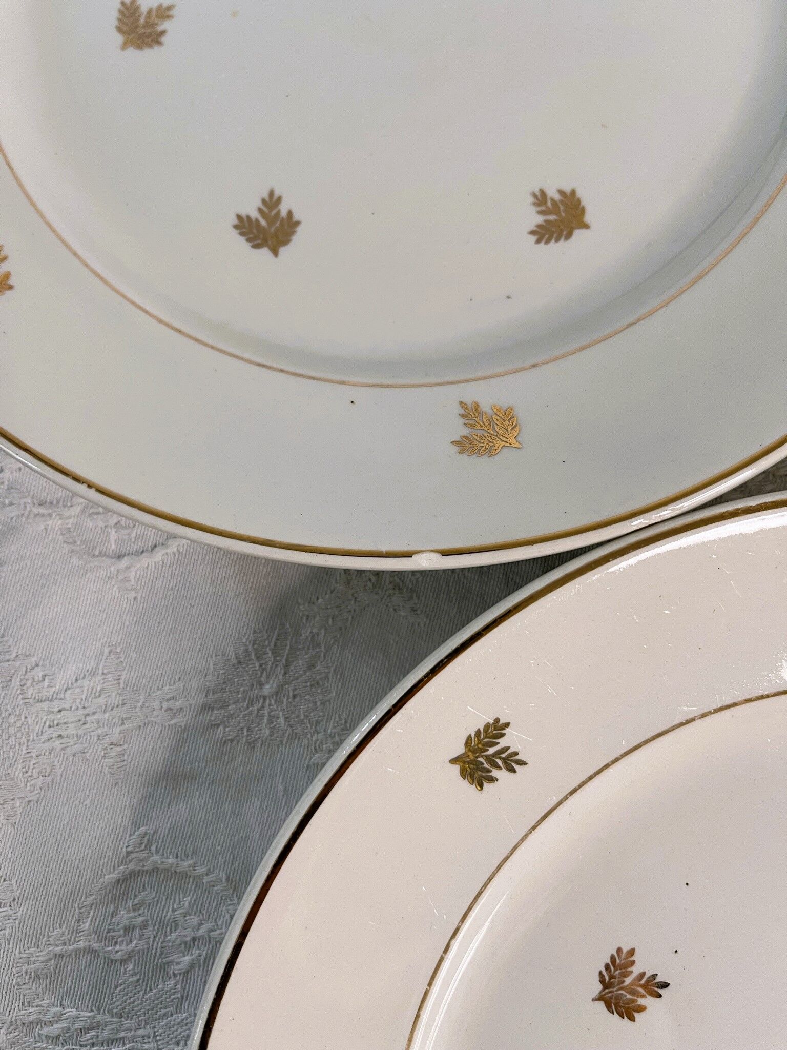 11 plates in antique earthenware decorated with golden leaves and golden border