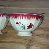 Bowls Faïencerie de Sarreguemines with rose decoration (the two red ones)