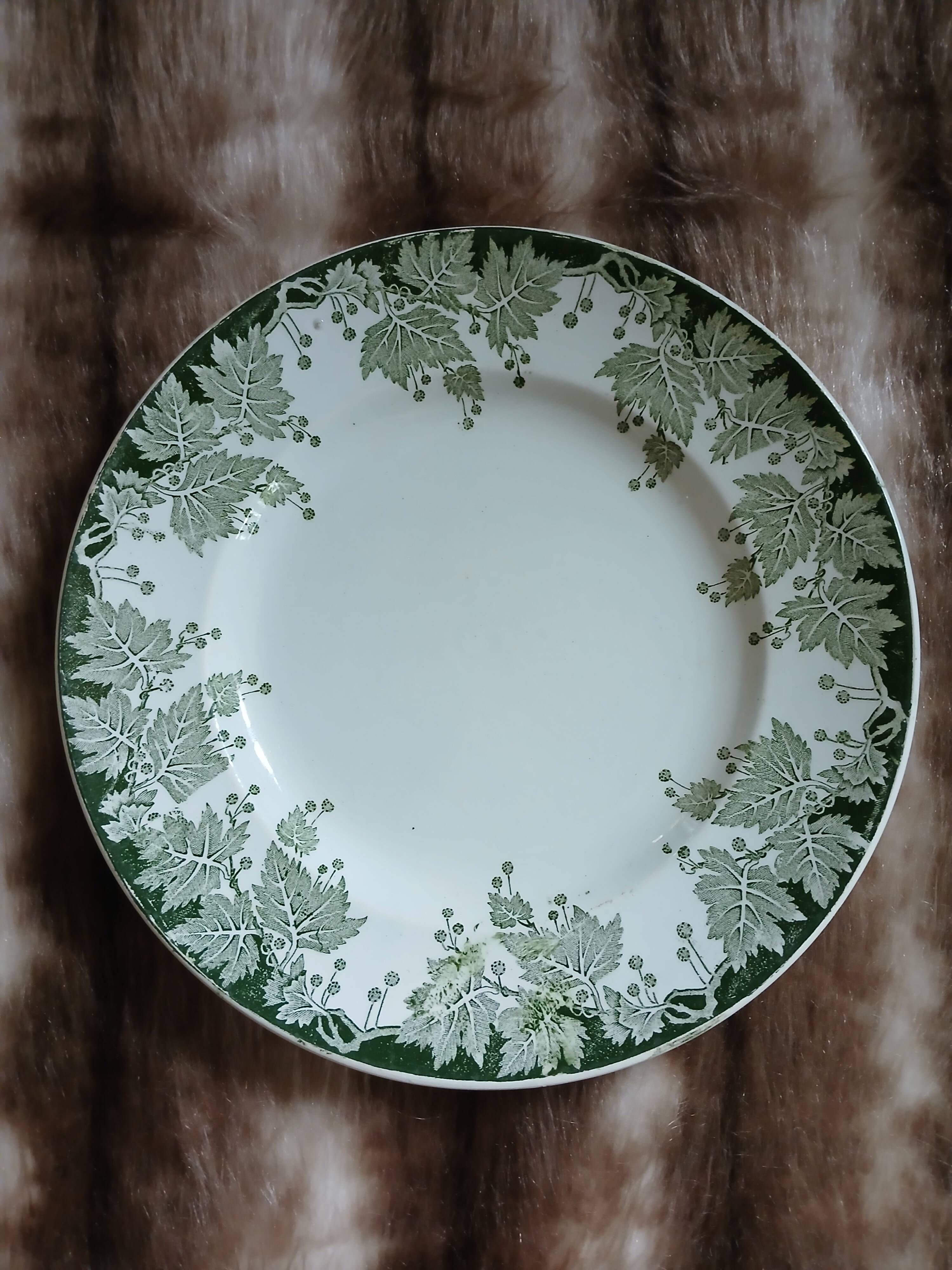10 antique flat plates in ironstone