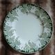 10 antique flat plates in ironstone