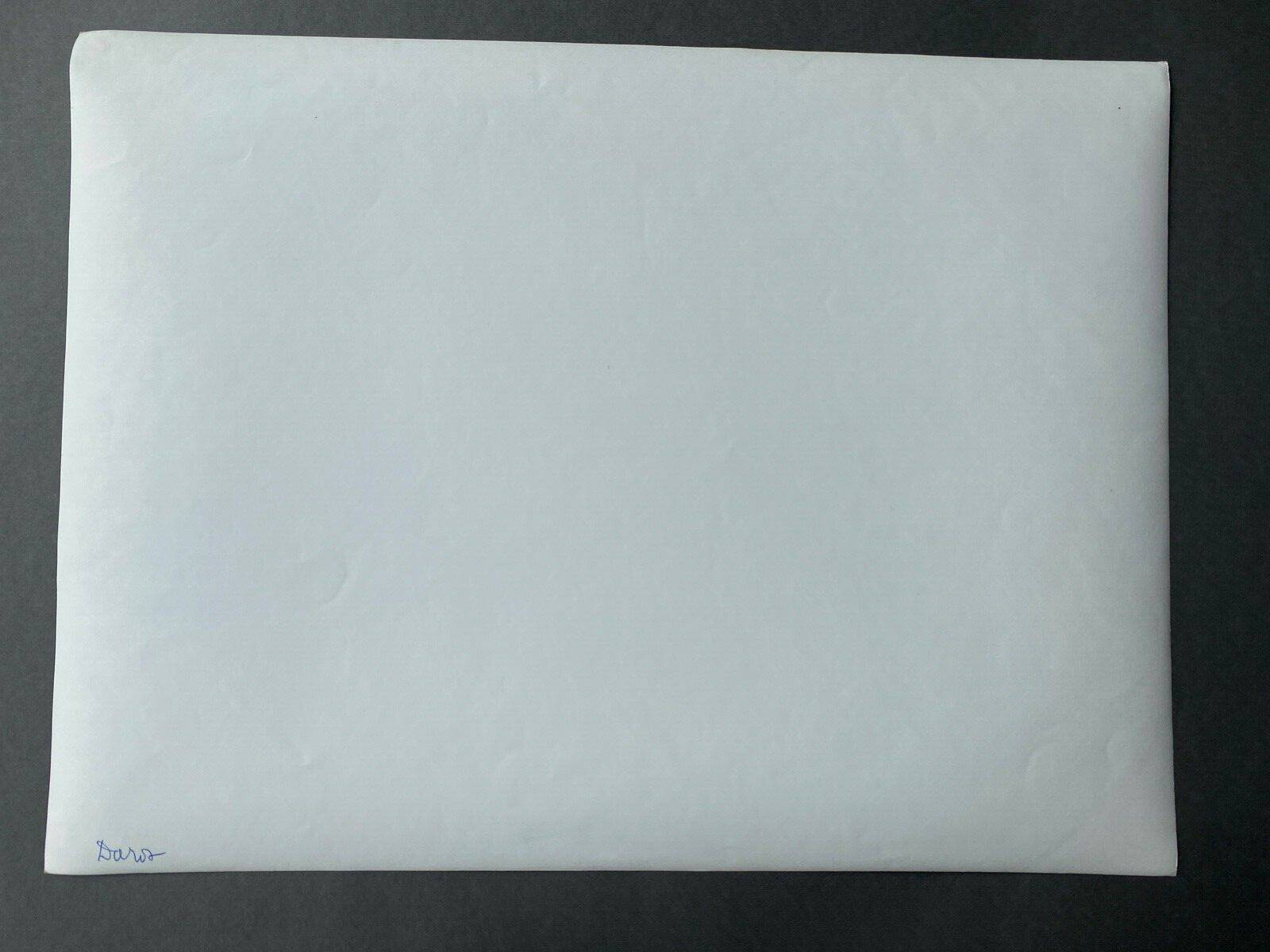 Bernard Darot photograph, 20th century, tree in water