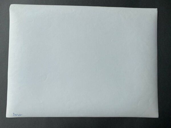 Photo argentique Bernard Darot XXe arbre dans l'eau