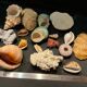 Shell collection
