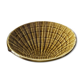 Khaki brown shell cup