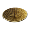 Khaki brown shell cup