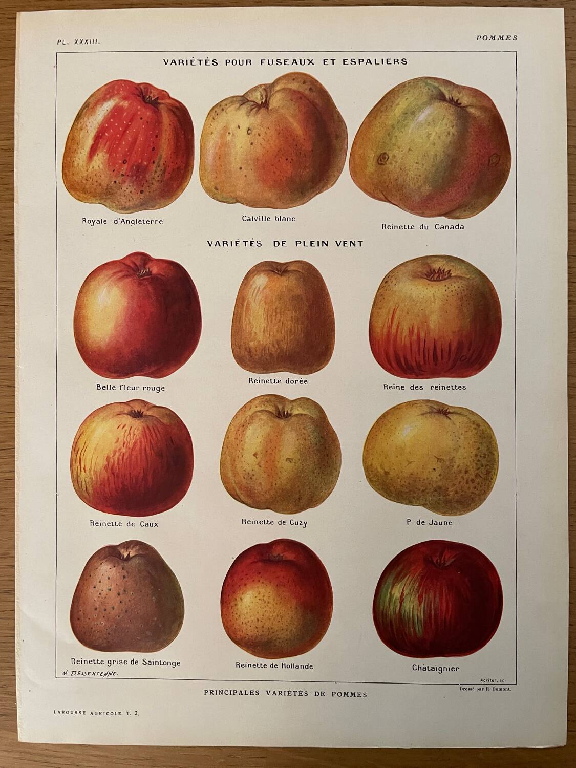 Reserved Laurence - Set of 3 lithos on apples and pears 20th century
